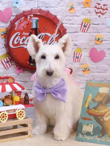 20230910ムーミンくん